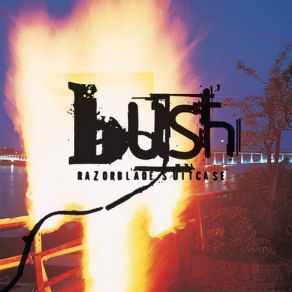 Download track Distant Voices Bush