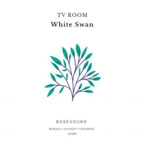 Download track White Swan (Original Mix) Tv Room