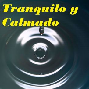 Download track Sonido Relajante Amanecer