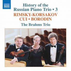 Download track Piano Trio In D Major: III. Intermezzo. Tempo Di Minuetto Brahms - Trio