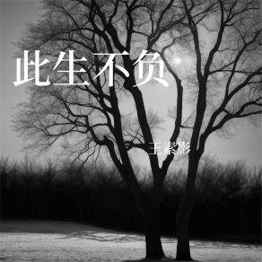 Download track 此生不负 王素影