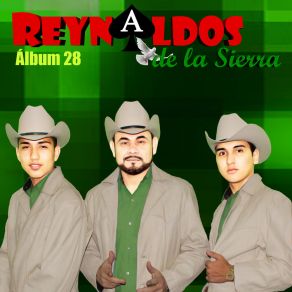 Download track Amorfoda Los Reynaldos De La Sierra