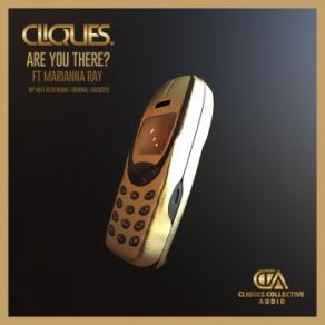 Download track Are You There! (VIP Mix) The Cliques, Marianna Ray