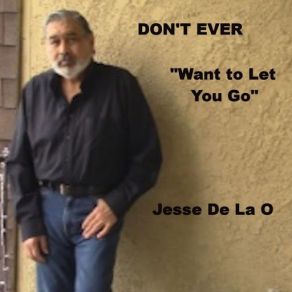 Download track Don't Ever Want To Let You Go Jesse De La O