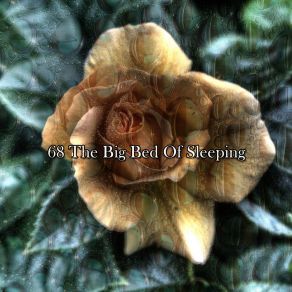 Download track Sleepy Island All Night Sleeping Songs To Help You Relax