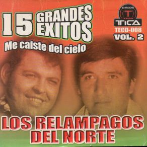 Download track Mis Mejores Años Los Relampagos Del Norte