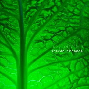 Download track Il Tappeto Verde Inorganic Dub