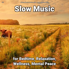 Download track Magnificent Massage Relaxing Music