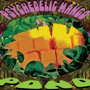 Download track Psychedelic Mango Vision The Pond