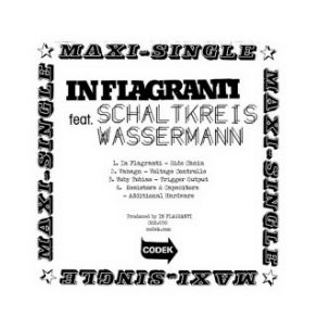 Download track Side Chain In Flagranti, Schaltkreis Wassermann, Matterhorn Project