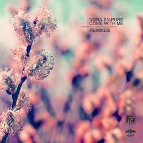 Download track Come With Me - DBMM Remix Nora En Pure