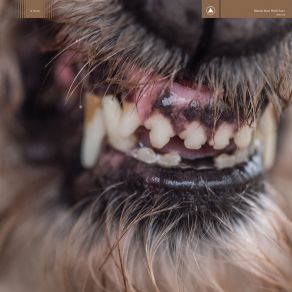 Download track John Doe's Carnival Of Terror Blanck Mass