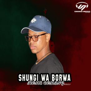 Download track Home Coming Shungi Wa Borwa