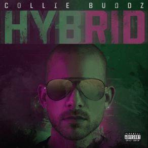 Download track Time Flies Collie BuddzRuss