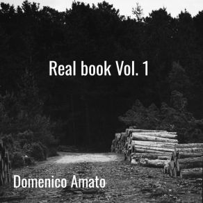 Download track Satin Doll Domenico Amato