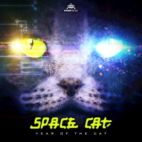 Download track Loops Of Insanity Space Cat