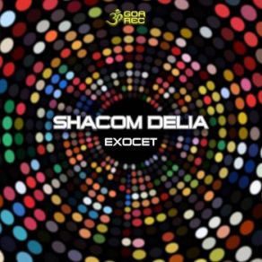 Download track Eighties Shacom Delia