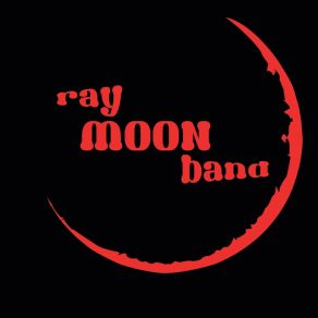 Download track Travelling Disaster Ray Moon Band