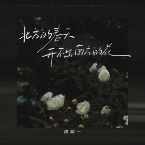 Download track 北方的春天开不出南方的花 (女版伴奏) 田如一