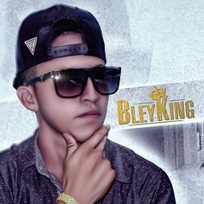 Download track Si Te Fuiste BleyKing