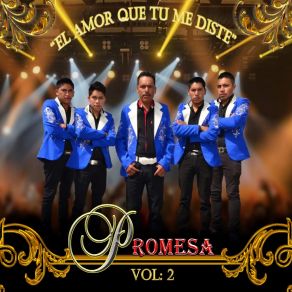 Download track El Amor Que Tu Me Diste Promesa