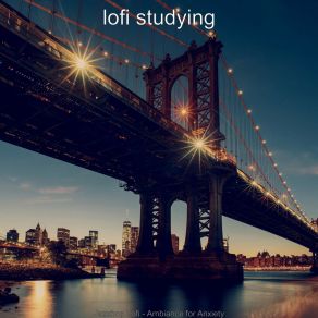 Download track Extraordinary Sound For All Night Study Sessions Lofi Studying