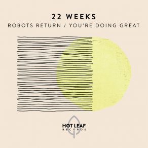 Download track You're Doing Great 22 Weeks