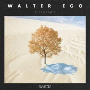 Download track Shadows (Inkarv Remix) Walter Ego