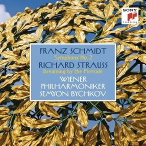 Download track 4. Richard Strauss: Intermezzo Op. 72 - Träumerei Am Kamin Franz Schmidt