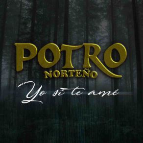 Download track Yo Sí Te Amé Potro Norteño