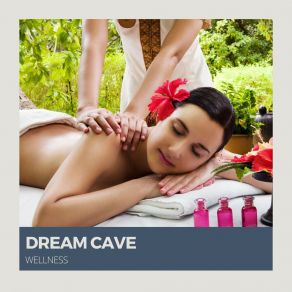 Download track Dreamtime Drift Wellness