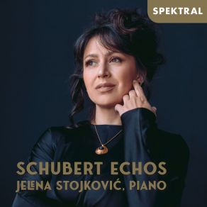 Download track Piano Sonata In B-Flat Major, D. 960: IV. Allegro Ma Non Troppo Jelena StojkovićJelena Stojković