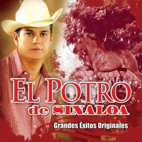 Download track Clave 7 El Potro De Sinaloa