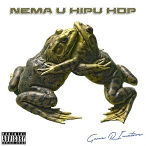 Download track Nema U Hipu Hop Gane Rimatore