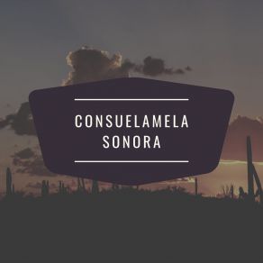 Download track Conoci A Tu Papa La Sonora MatanceraNelson Piñedo