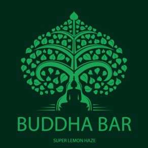 Download track Space Queen Buddha Bar