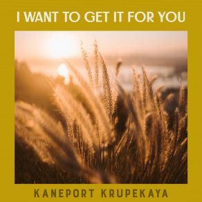 Download track My Own Reflection Kaneport Krupekaya