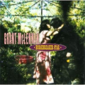 Download track What Went Wrong Grant McLennan