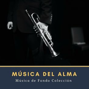 Download track Jazz Para Estudiar Música De Fondo Colección