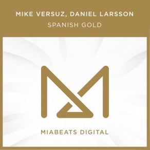 Download track Spanish Gold (Daniel Larsson Remix) Mike VersuzDaniel Larsson