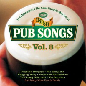 Download track An Irish Pub Song The Rumjacks