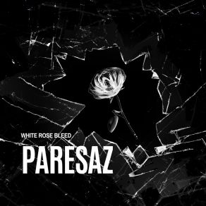 Download track Trap Boy Paresaz