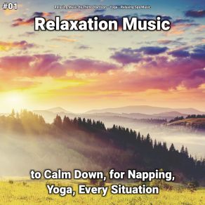 Download track Relaxation Music, Pt. 69 Relaxing Spa Music