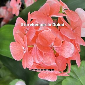 Download track Storekeeper In Dubai Serene Soundscapes