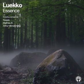 Download track Essence (Matthieu B. Remix) LuekkoMatthieu - B