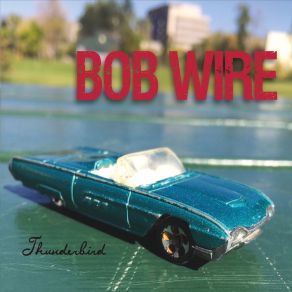 Download track Settle For Asheville Bob Wire