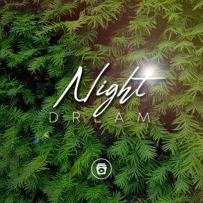 Download track Night Dream Natural Sounds