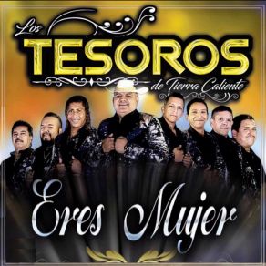 Download track Por Qué Te Fuiste? Los Tesoros De Tierra Caliente