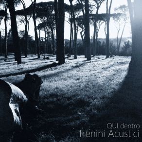 Download track L'album Dei Ricordi Trenini Acustici