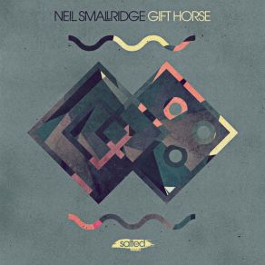 Download track Moosh Neil Smallridge